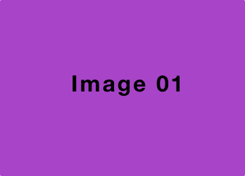 Scroll View|ionic